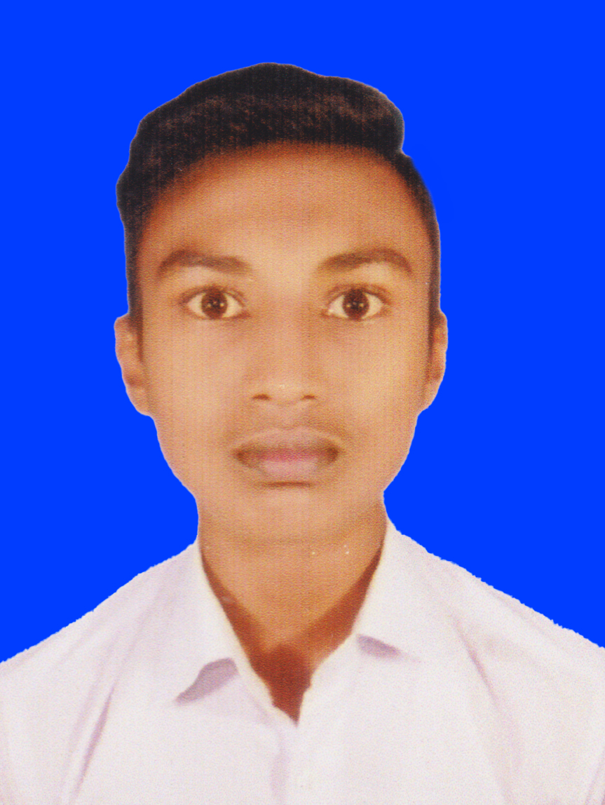 Md. Mahmudul Hasan Shadin